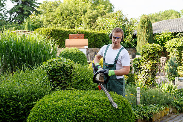 Best Lawn Irrigation Installation and Maintenance  in Rochelle, IL